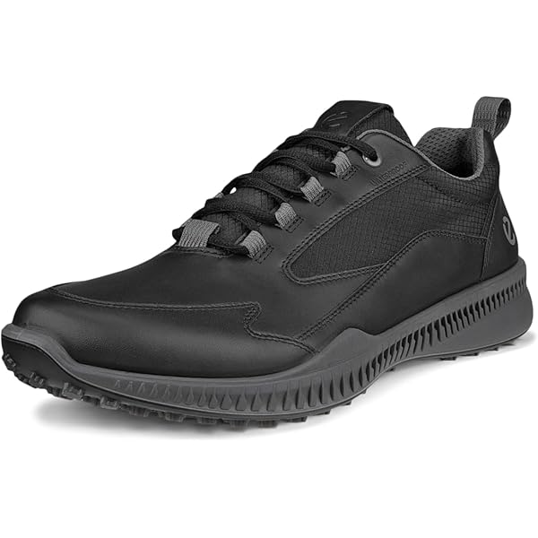 Amazon.com | ECCO Men's Golf Biom Hybrid, Ombre/Buffed Silver